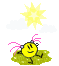Sun :sun: